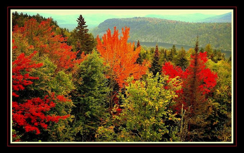 L'été indien (opus5)