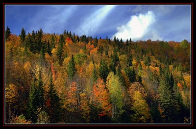 Résultat de recherche: L'été indien (opus3)