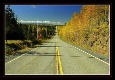 Résultat de recherche: L'été indien (opus 1)