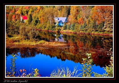 Résultat de recherche: L'été indien (opus6)