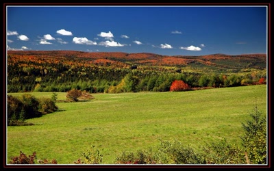 Résultat de recherche: L'été indien (opus4)