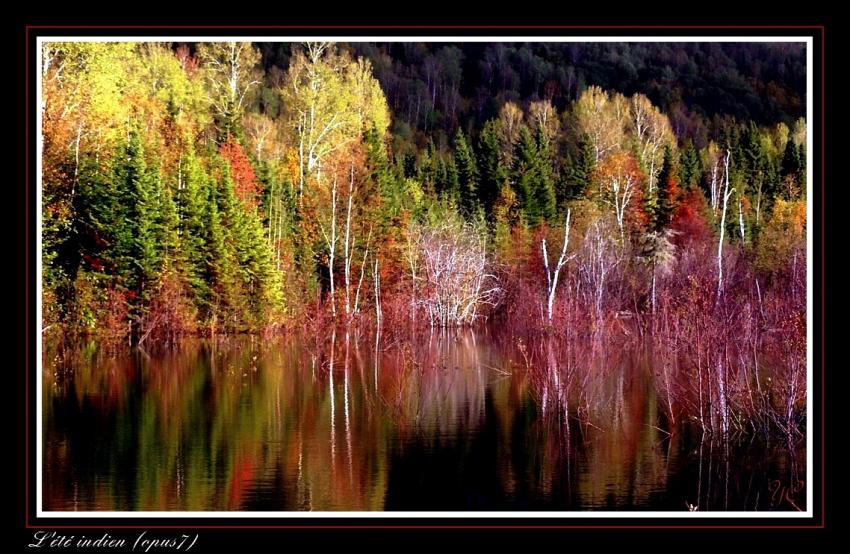 L'été indien (opus7)