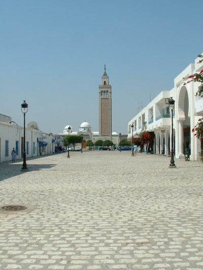 Œuvre de Shady: La Marsa