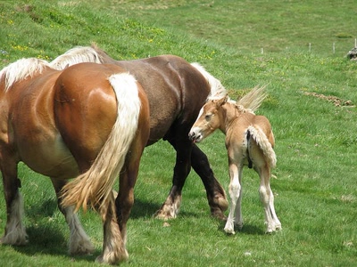 Résultat de recherche: Je viens d'arriver !!