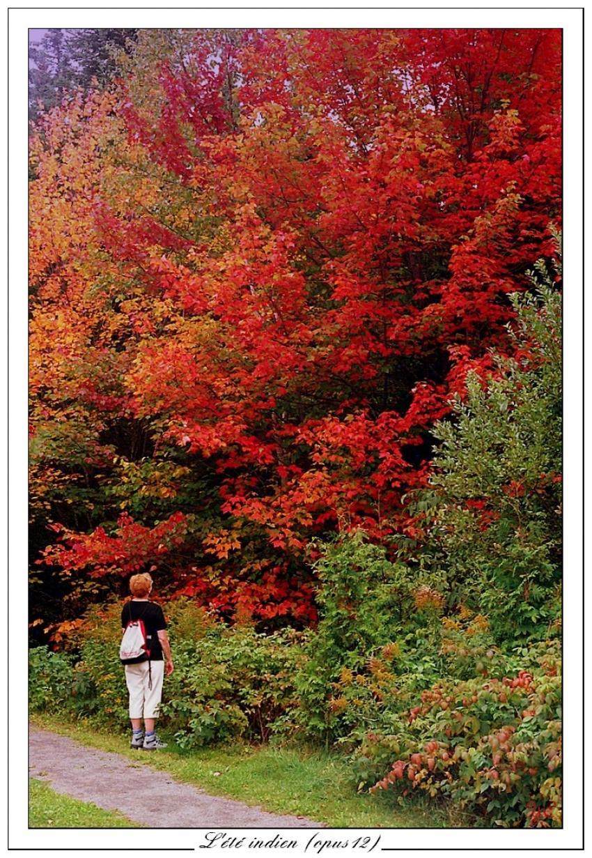 L'été indien (opus12)