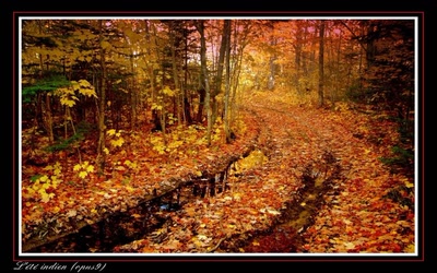 Œuvre de Chasseur de Temps: L'été indien (opus9)