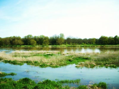 Résultat de recherche: la vieille Loire