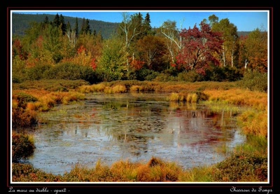 Œuvre de Chasseur de Temps: La mare au diable (opus2)