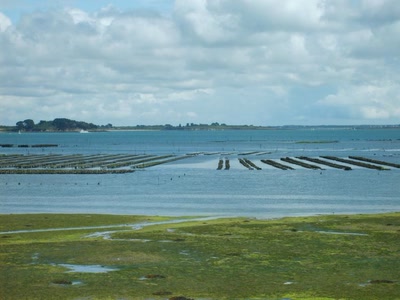 Œuvre de refletsdargent: parcs à huîtres sur l'île aux Moines