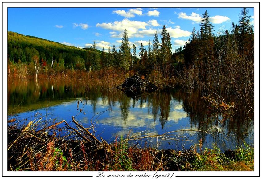 L'été indien (opus20)