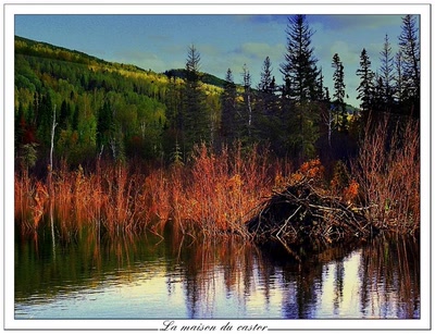 Œuvre de Chasseur de Temps: L'été indien (opus18)