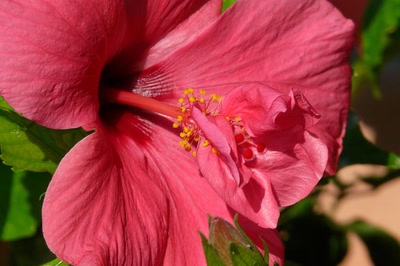 Résultat de recherche: Mutation génétique...