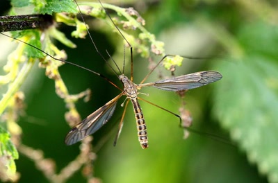 Résultat de recherche: Bien accroché !
