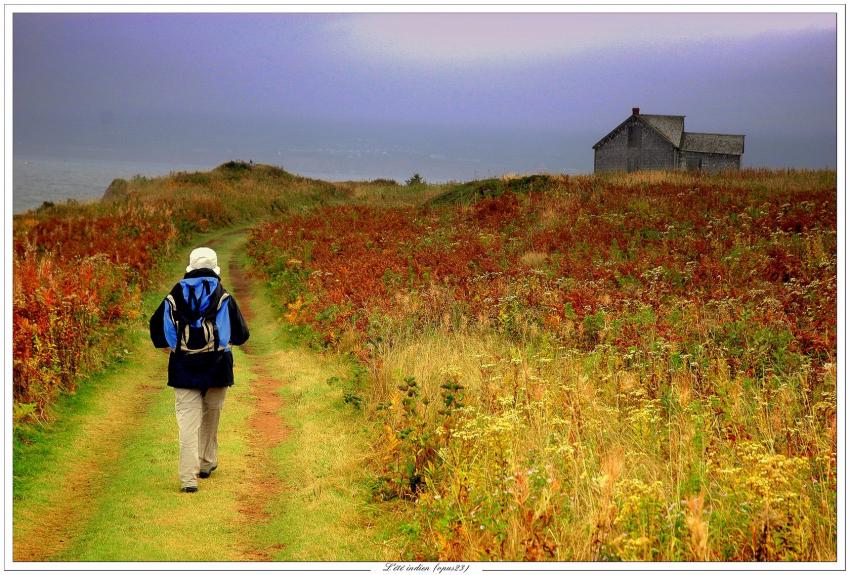 L'été indien (opus23)