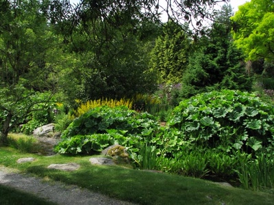 Résultat de recherche: Jardin botanique Van Dusen Vancouver