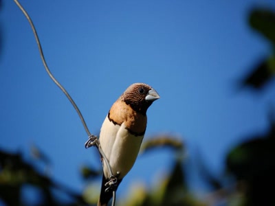 Résultat de recherche: en attente