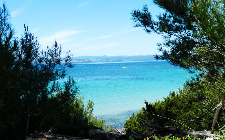Ile de Porquerolles