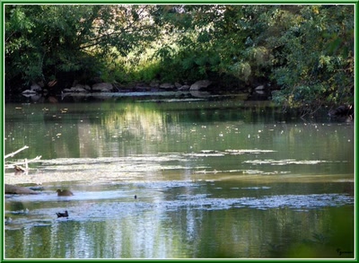 Résultat de recherche: Sur les pas de Ronsard