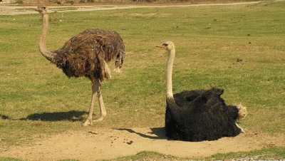Résultat de recherche: Fais donc une petite pause !