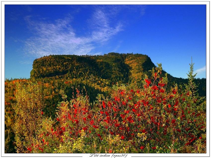 L'été indien (opus30)