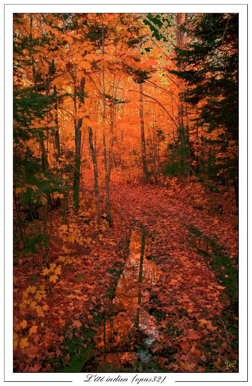 L'été indien (opus32)