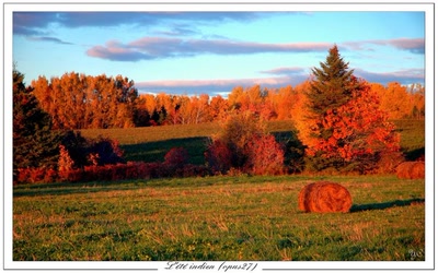 Œuvre de Chasseur de Temps: L'été indien (opus27)