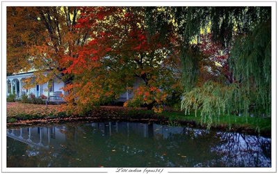 Œuvre de Chasseur de Temps: L'été indien (opus34)
