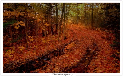 Œuvre de Chasseur de Temps: L'été indien (opus33)