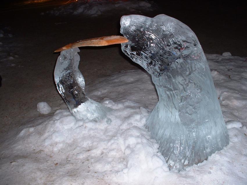 l'ours sculpté dans la glace