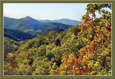 Œuvre de danque: Chateau cathare de Termes.