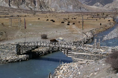 Résultat de recherche: Népal