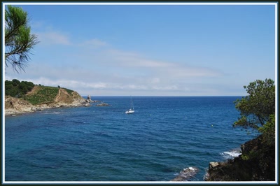 Résultat de recherche: Banyuls (66) La mer