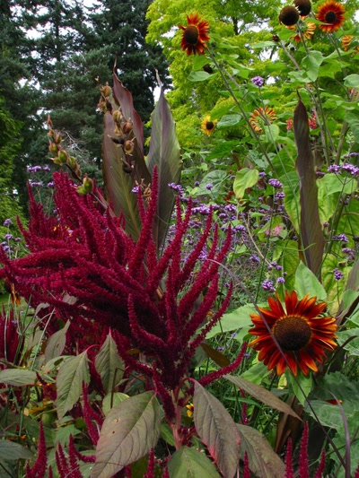 Œuvre de Alle: Jardin botanique Van Dusen