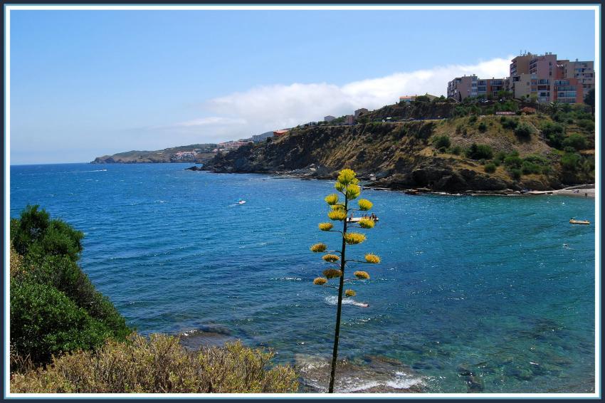 La Côte Vermeille vers Banyuls (66)