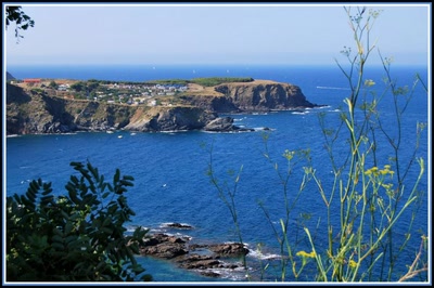 Résultat de recherche: La Méditerranée à Banyuls (66)