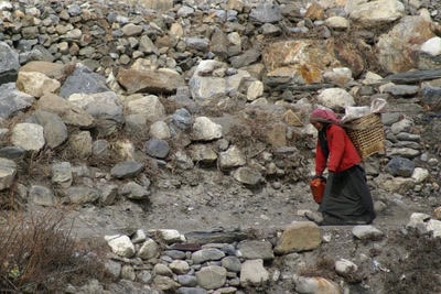 Résultat de recherche: Népal