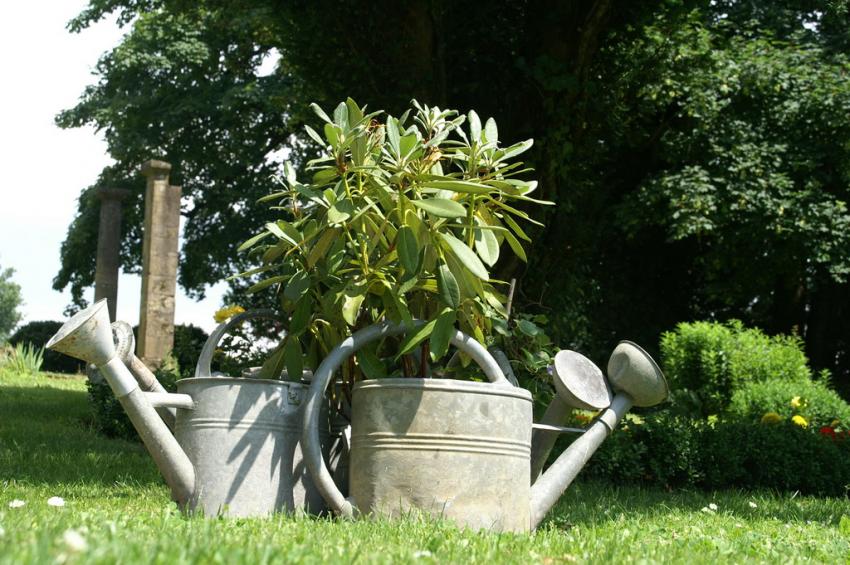 Réunion d'arrosoirs