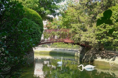 Résultat de recherche: Le pont aux cygnes