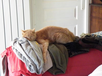 Résultat de recherche: roméo