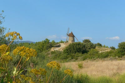 Œuvre de Ondine: Le Moulin de La Livinière