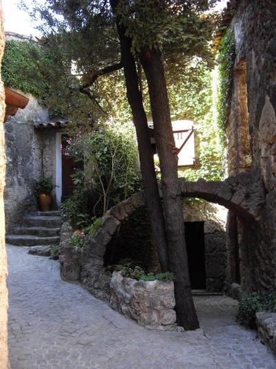 Résultat de recherche: Comme un arbre dans la ville