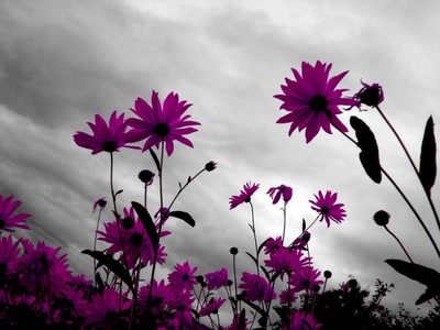 Œuvre de margeou: Vers le ciel