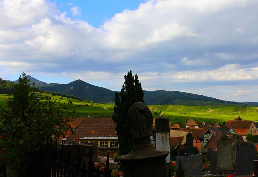 Vignobles et Châteaux