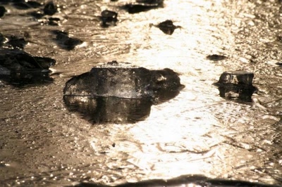 Œuvre de gerdex02: iceberg