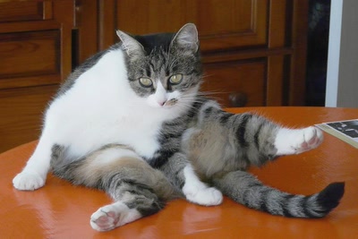 Résultat de recherche: Gymnastique matinale