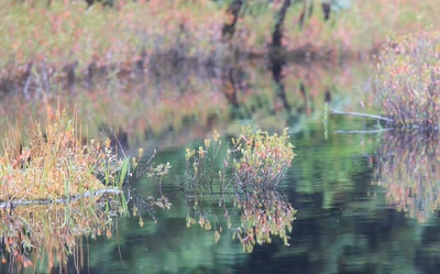 Résultat de recherche: Calme.