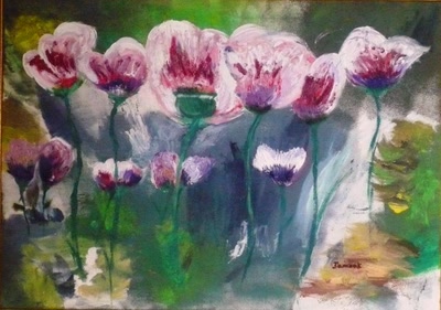 Résultat de recherche: Pavot