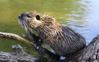 Séance d'élongation