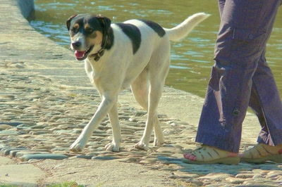 Résultat de recherche: Pas de deux !