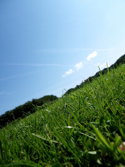 Résultat de recherche: La Bretagne et ses paysages